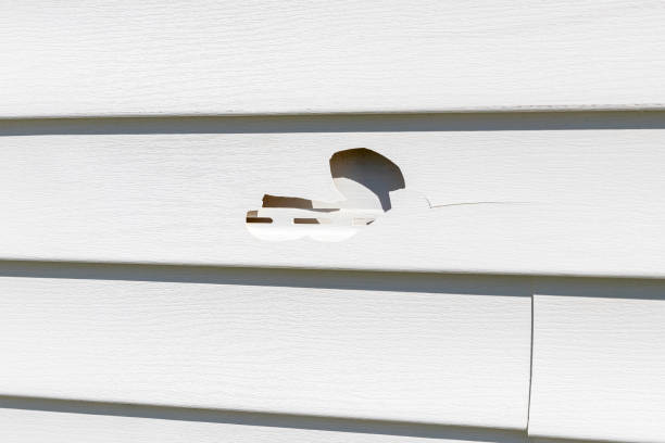 Shed Removal in Old Orchard, PA